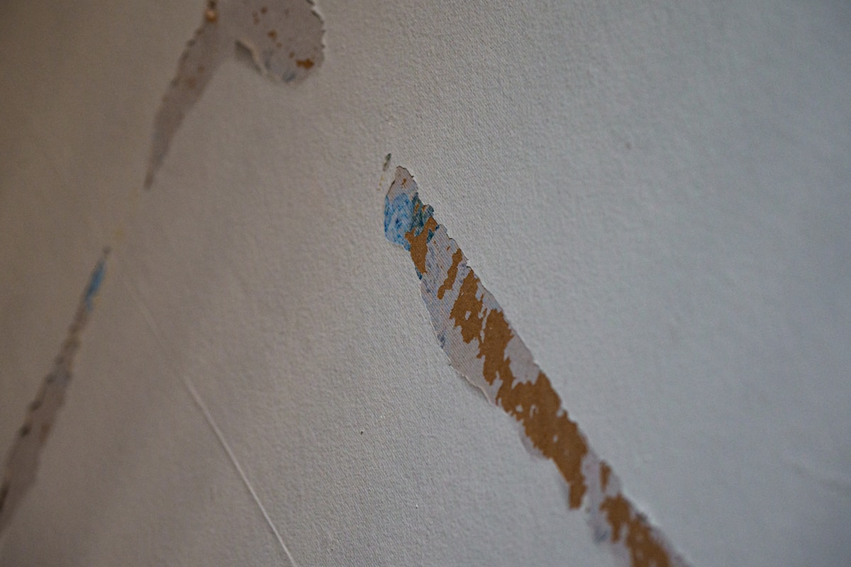 Mold Remediation service in Enid, OK